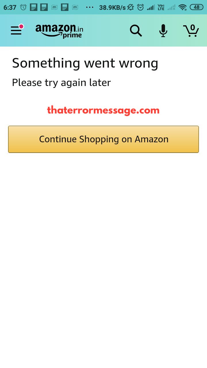 Something Went Wrong Amazon