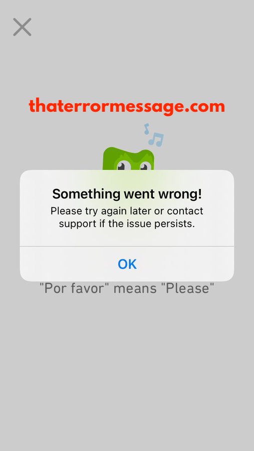 Something Went Wrong Duolingo