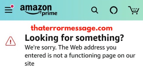 Amazon Web Address You Entered Is Not A Functioning Page