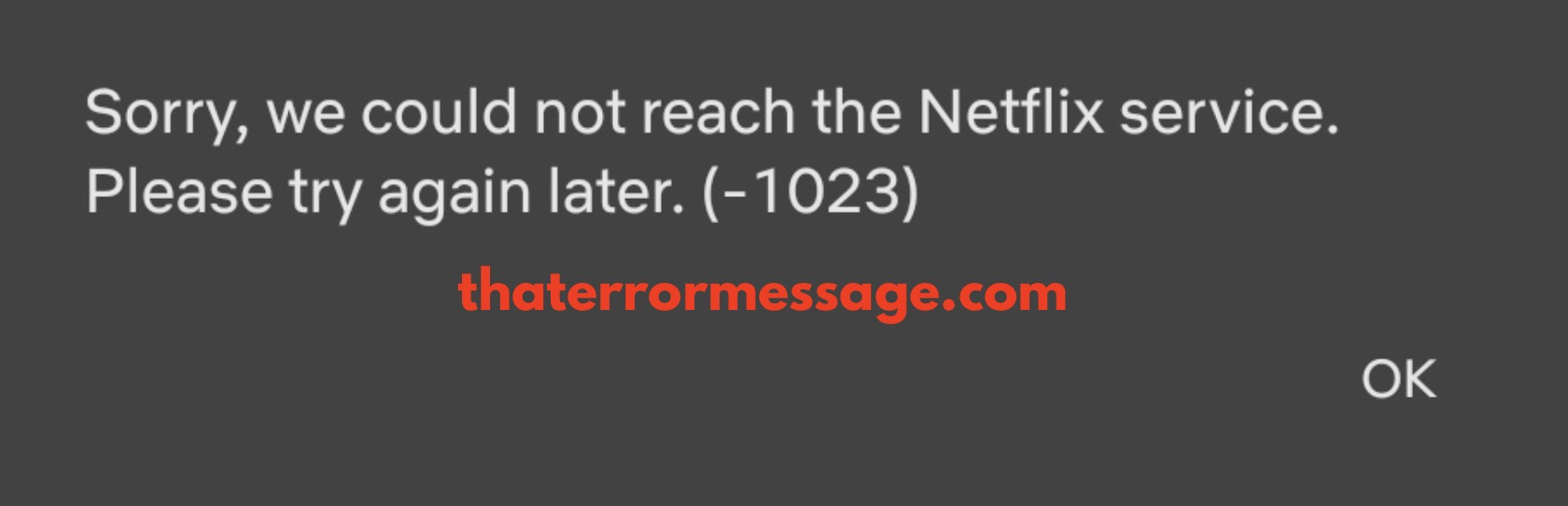 Could Not Reach The Netflix Service 1023