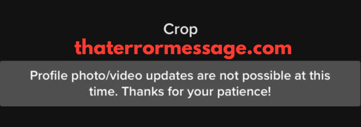 Profile Photo Video Updates Are Not Possible At This Time Tik Tok