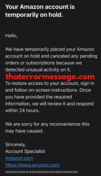 Amazon Account Is Temporarily On Hold