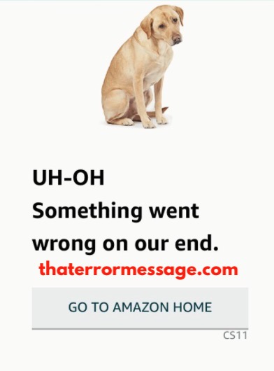 Something Went Wrong On Our End Cs11 Amazon