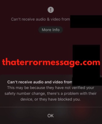 Cant Receive Audio And Video From Signal App