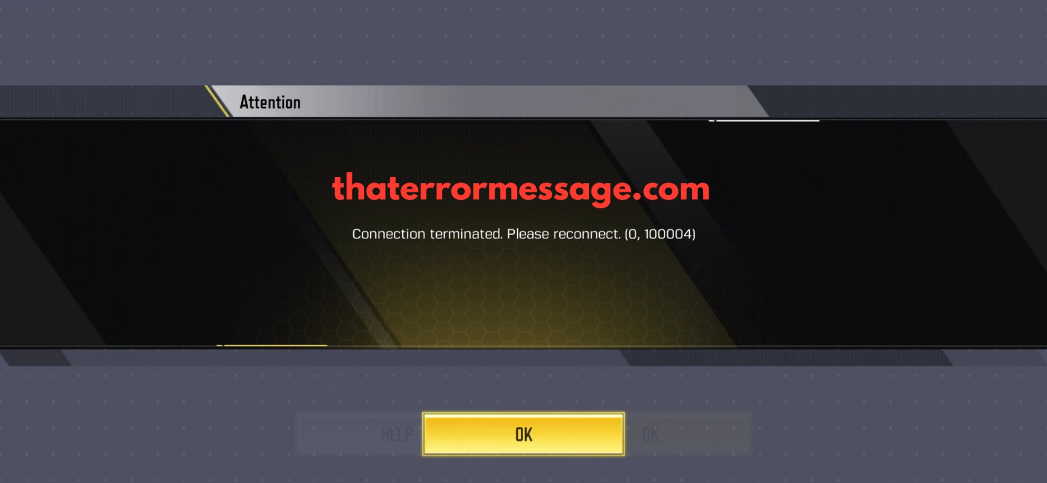 Connection Terminated 100004 Call Of Duty