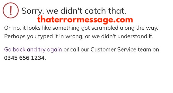 Sorry We Didnt Catch That Ocado