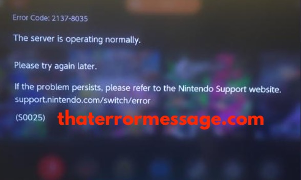 Error Code 2137 8035 Nintendo Switch