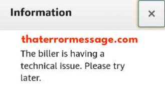 The Biller Is Having A Technical Issue Amazon Pay