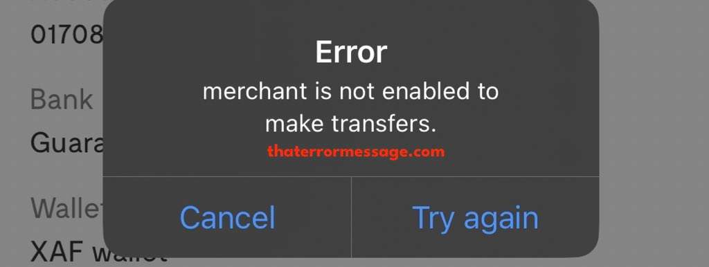 Merchant Is Not Enabled To Make Transfers Flutterwave
