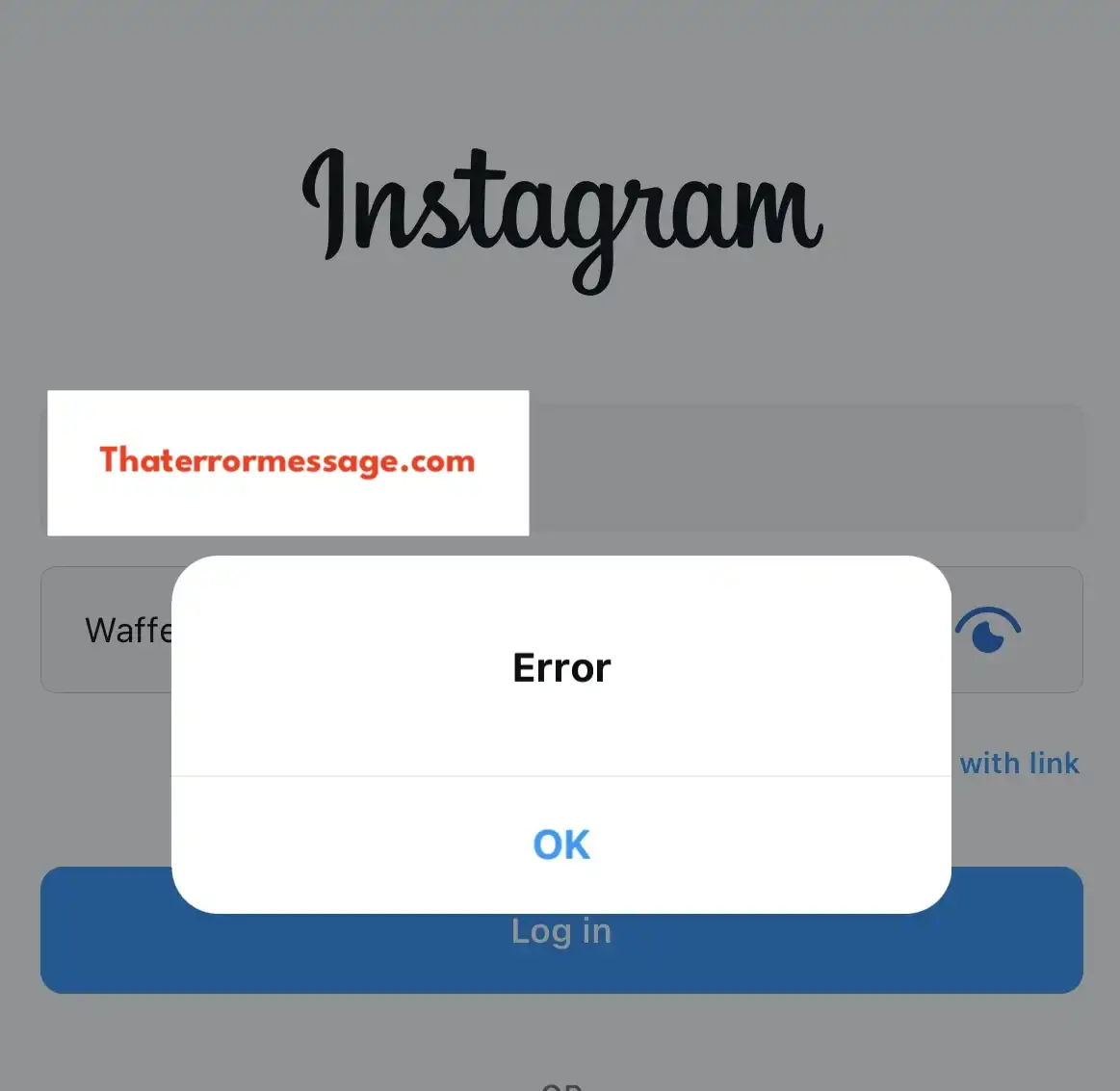 Instagram Error Password Reset Login