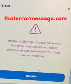 Transaction Cannot Succeed Due To A Lack Of Floofiness Undefined Snowgeswap