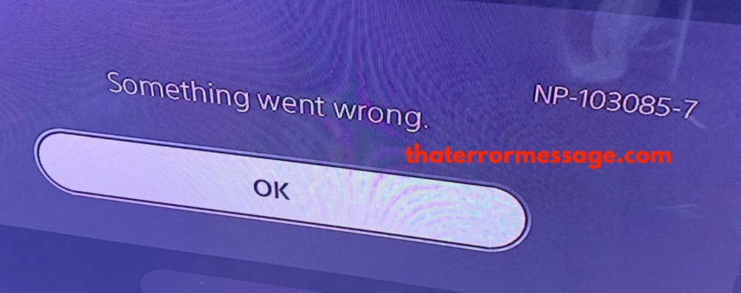 Something Went Wrong 103085 7 Playstation