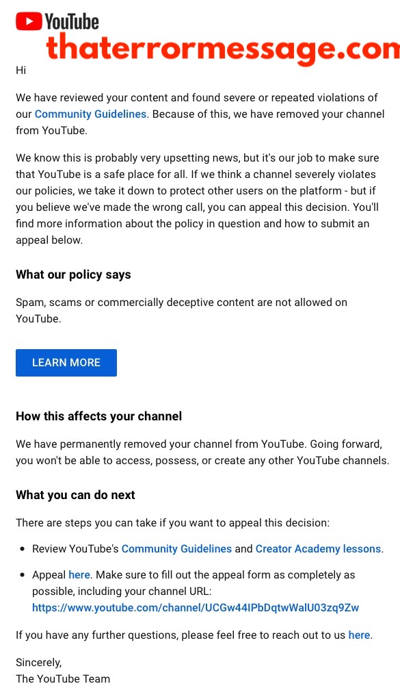 We Have Removed Your Channel From Youtube