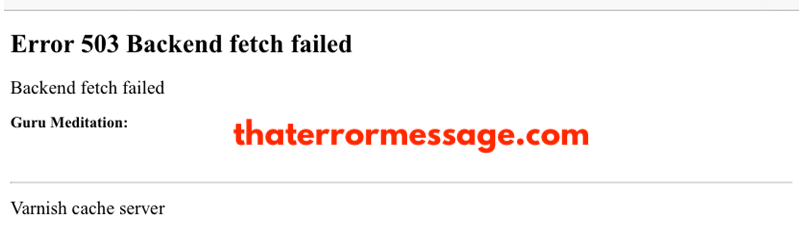 Error 503 Backend Fetch Failed