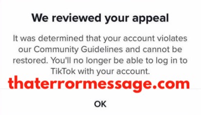 We Reviewed Your Appeal Tiktok
