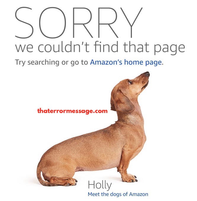 Sorry We Couldnt Find That Page Amazon