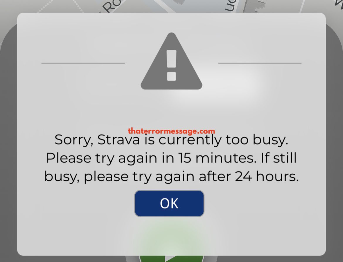 Strava Is Currently Too Busy