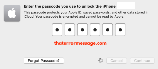 Enter The Passcode You Use To Unlock