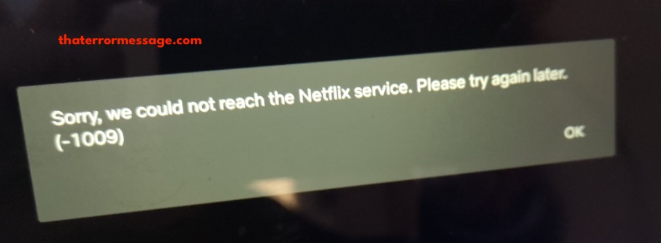 We Could Not Reach The Netflix Service 1009