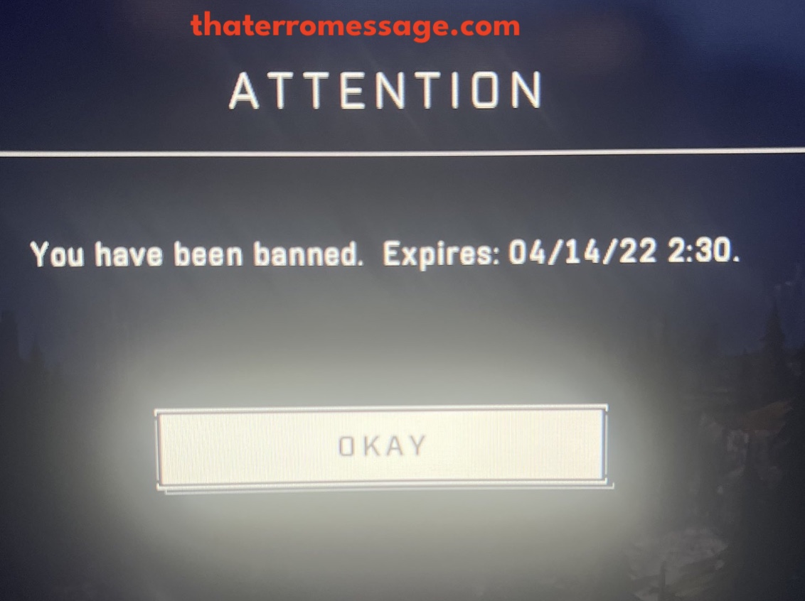 You Have Been Banned Expires 04 14 22