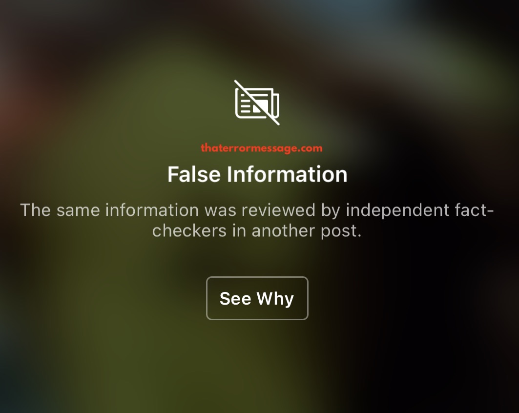 False Information Instagram